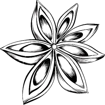 Anason stelat conservat