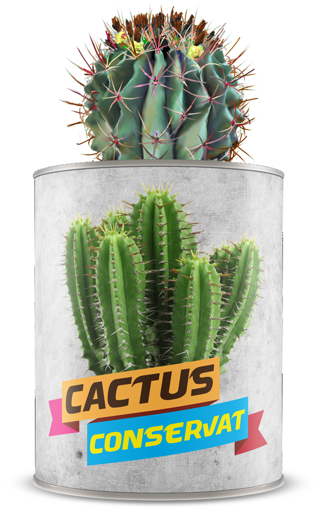 Cactus conservat