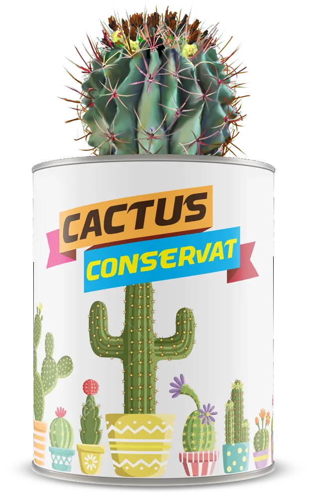 Cactus conservat