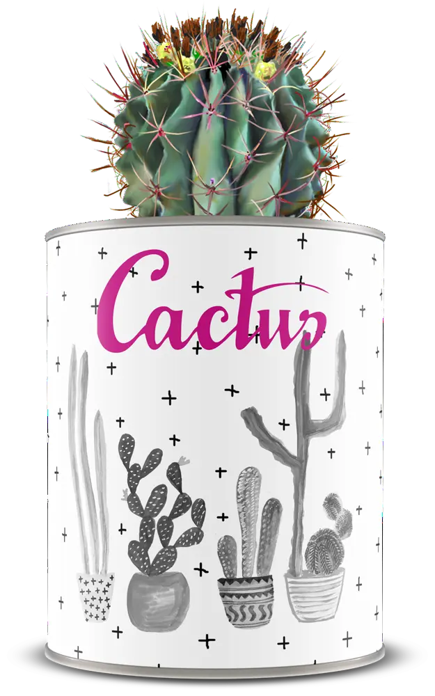 Cactus conservat
