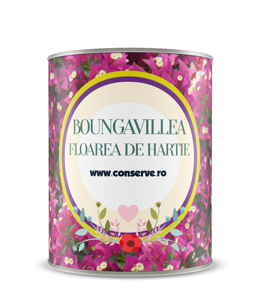 Conserva cu floare de hartie conservata