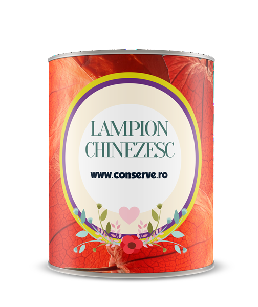 Conserva cu lampion chinezesc conservat