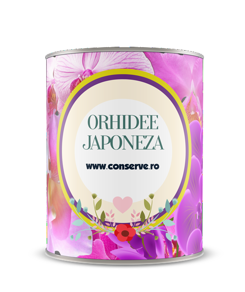 Conserva cu orhidee japoneza conservata
