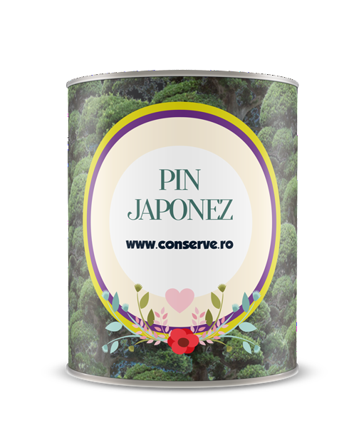 Conserva cu pin japonez conservat