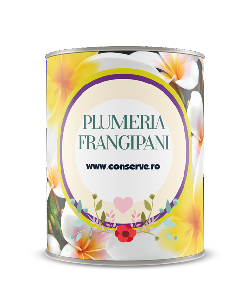Conserva cu plumeria frangipani conservate