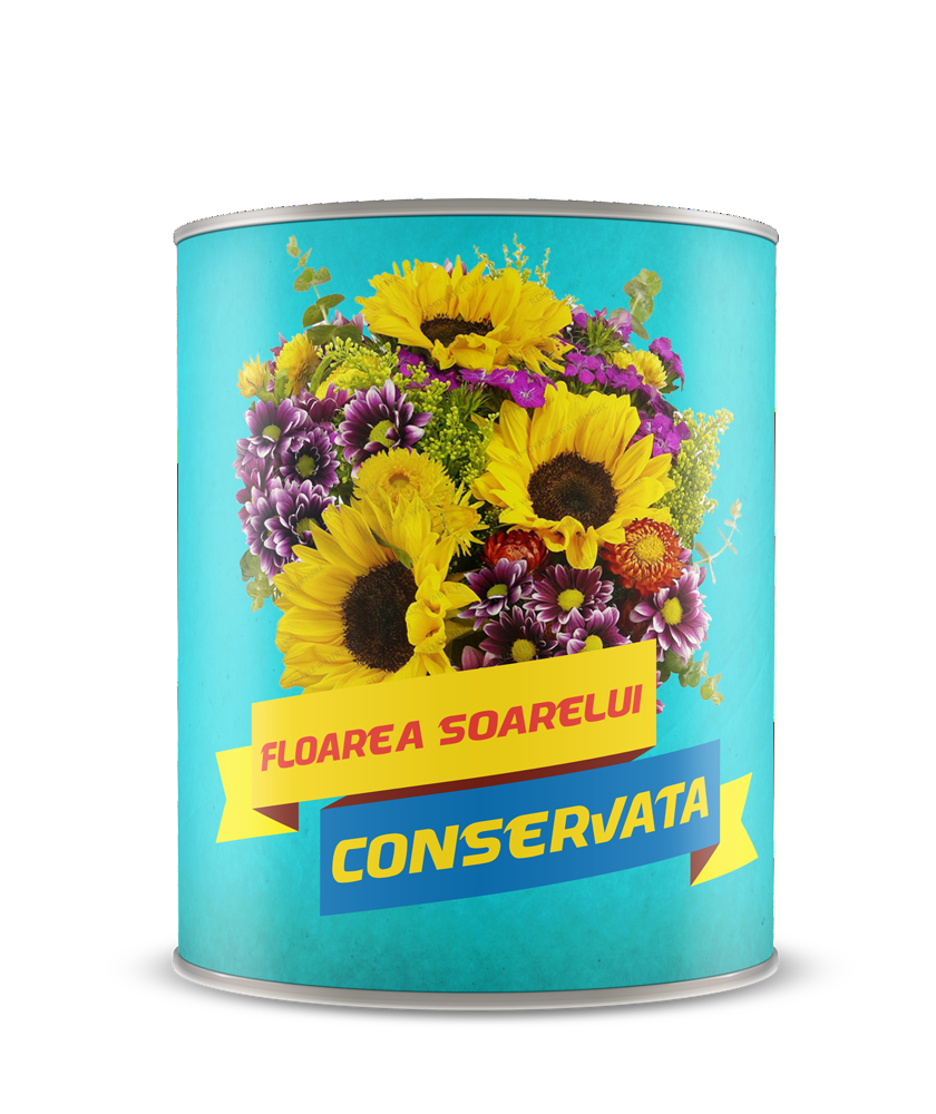 Floarea soarelui conservata