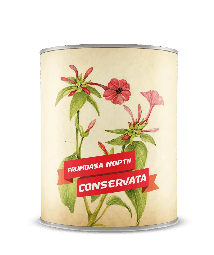 Conserva cu frumoasa noptii conservata