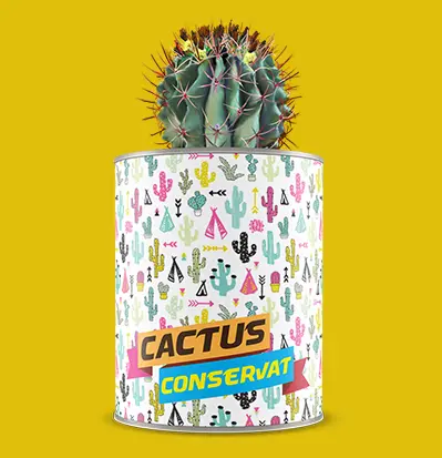 Cactus conservat