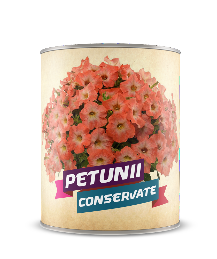 Petunii conservate