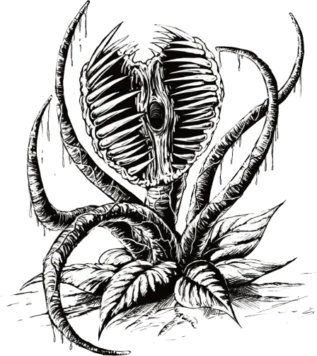 Plante carnivore conservate