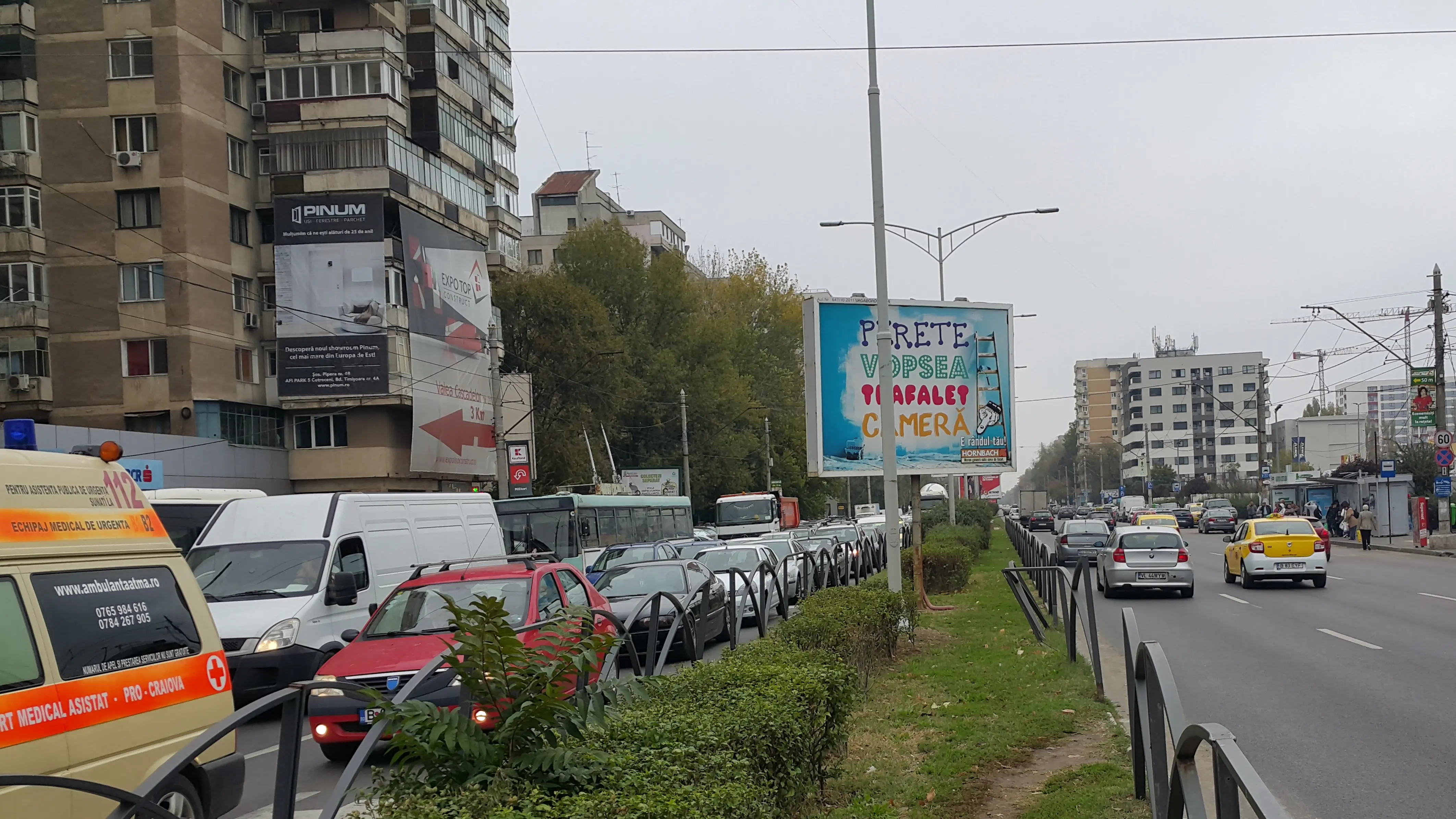 Locatie mesh - Pinum