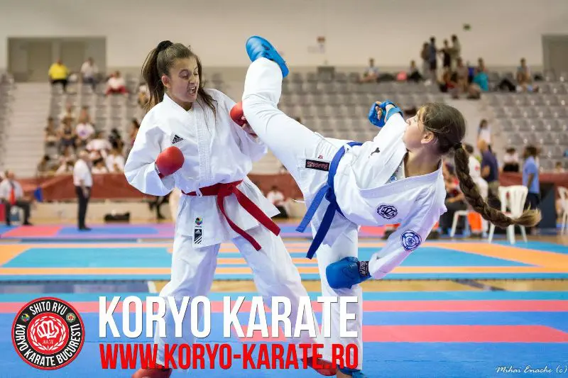 Campionatul Mondial - Koryo Karate