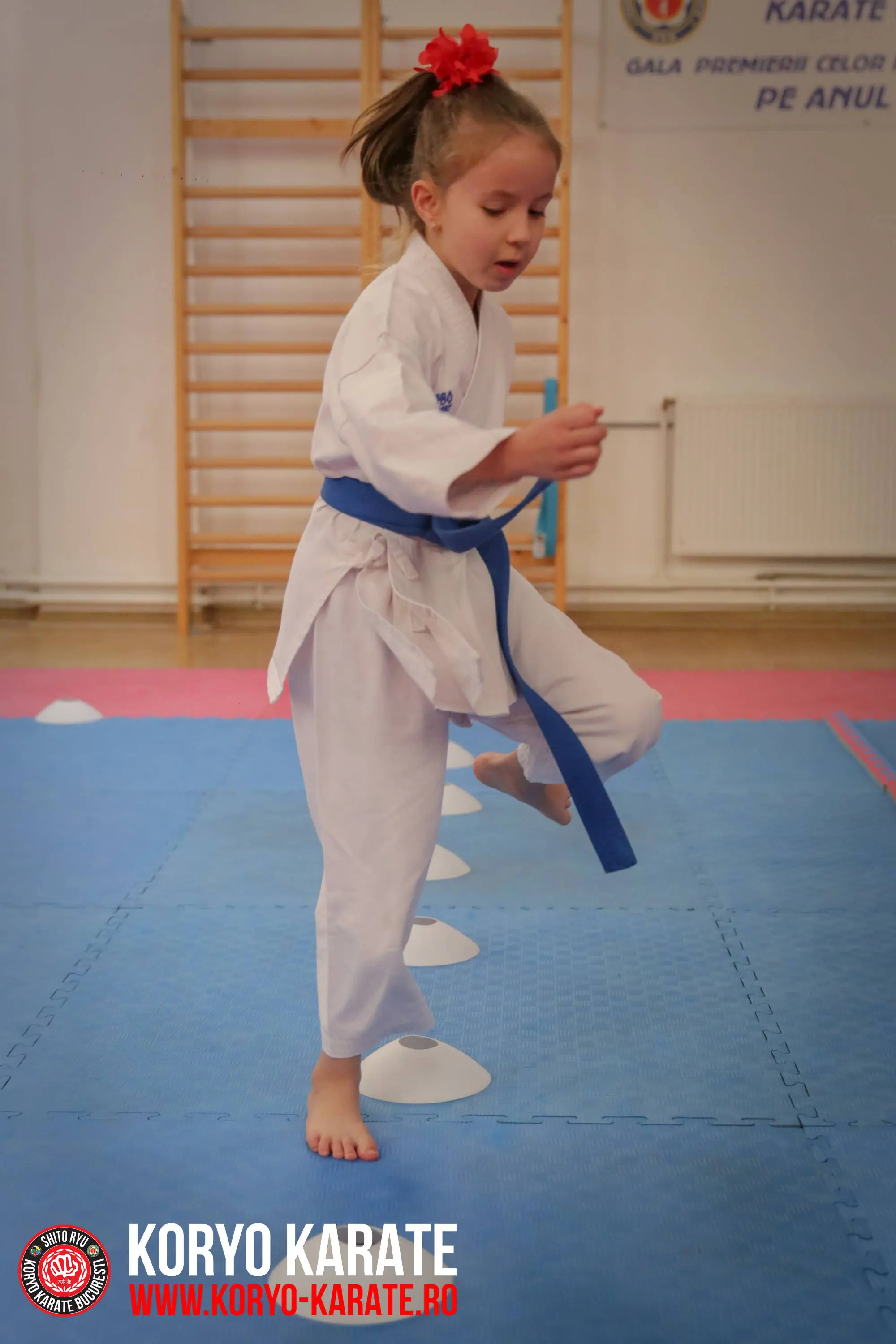 Cupa Mos Craciun 2017