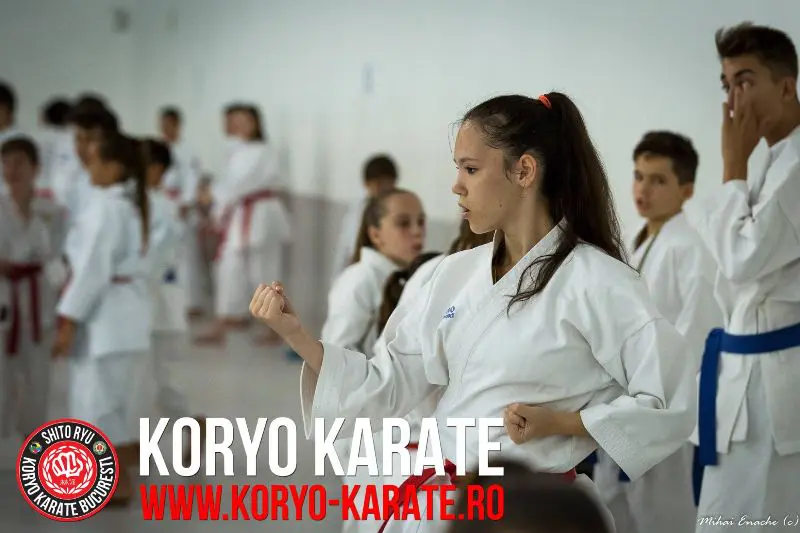 Campionatul Mondial - Koryo Karate