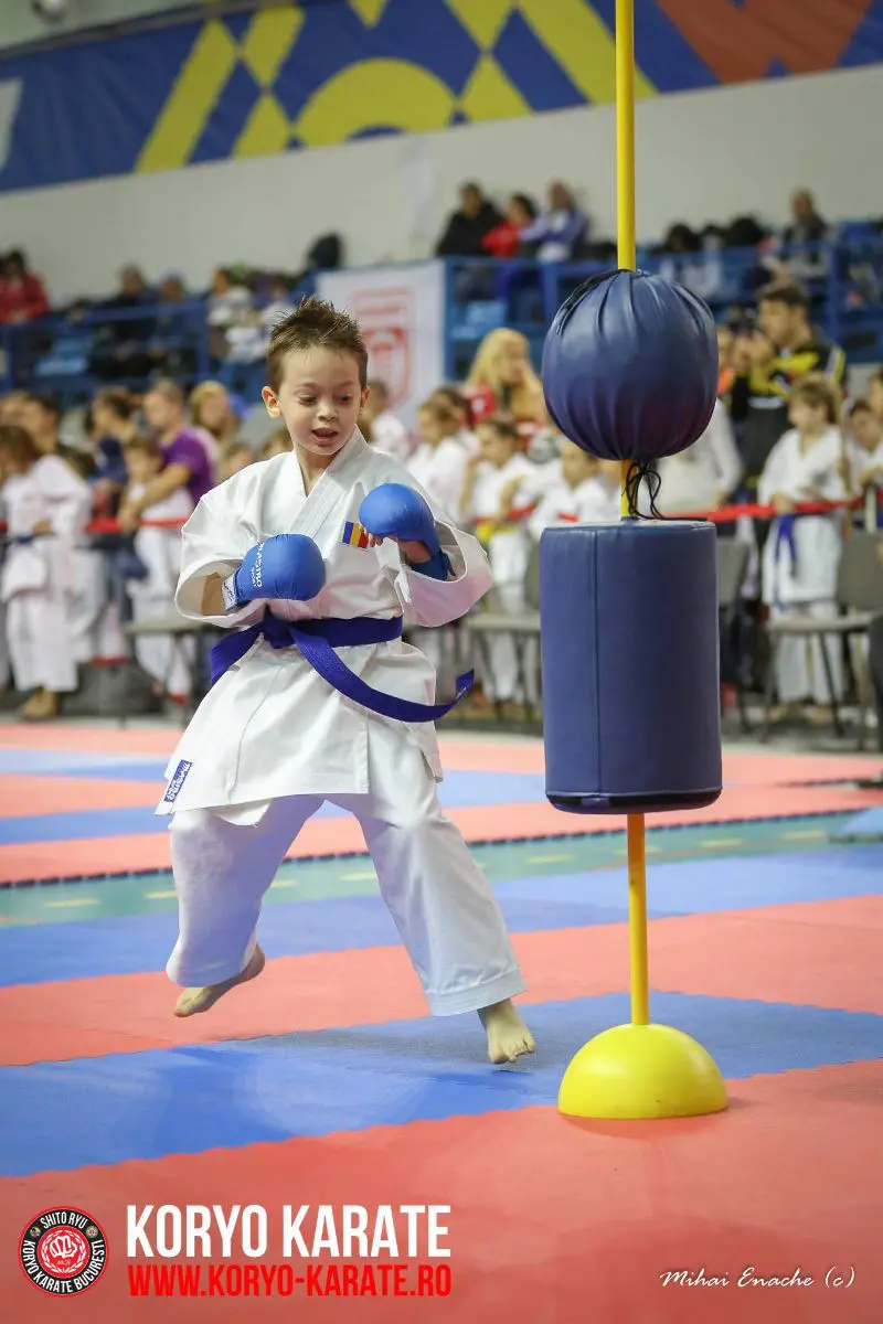 CN Shito-Ryu Traditional