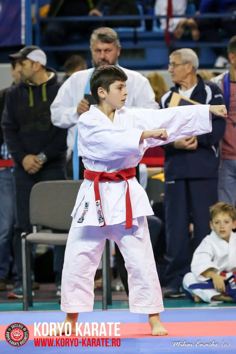 CN Karate Interstiluri 2017