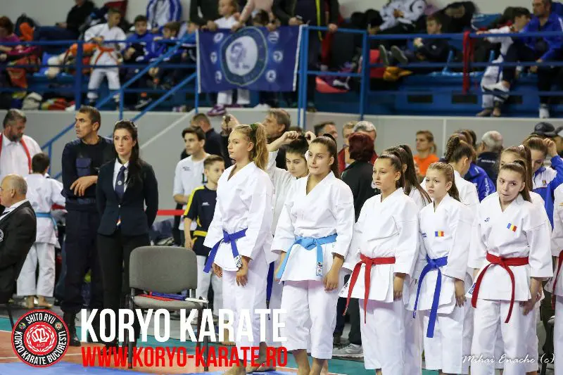 CN Karate Interstiluri 2017