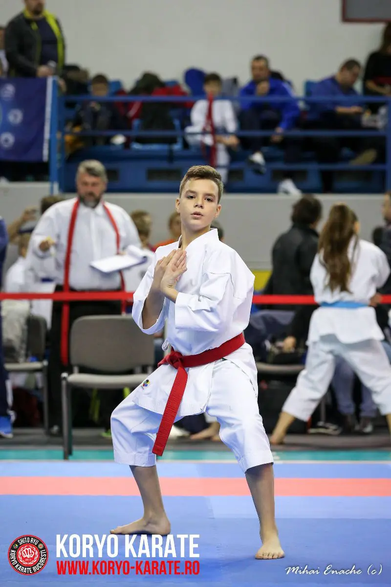 CN Karate Interstiluri 2017