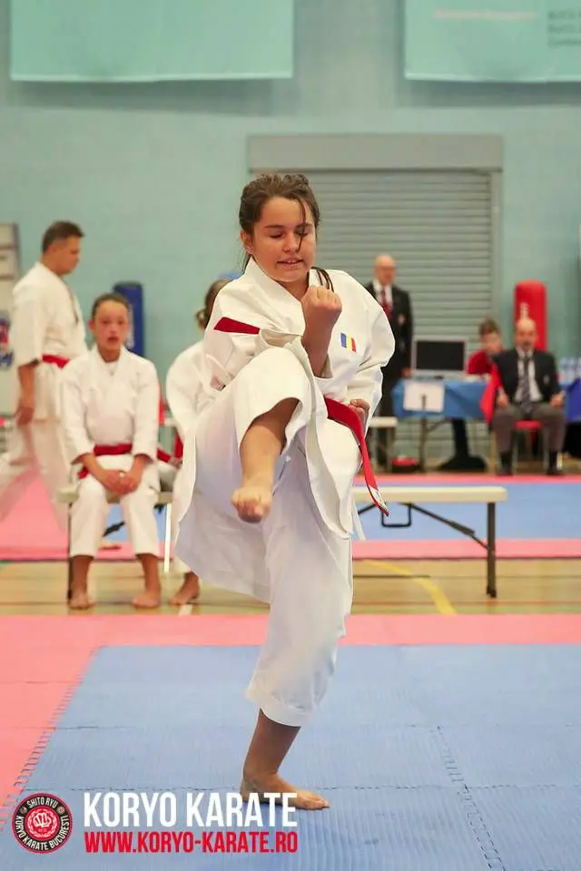 Cupa Elite Karate London