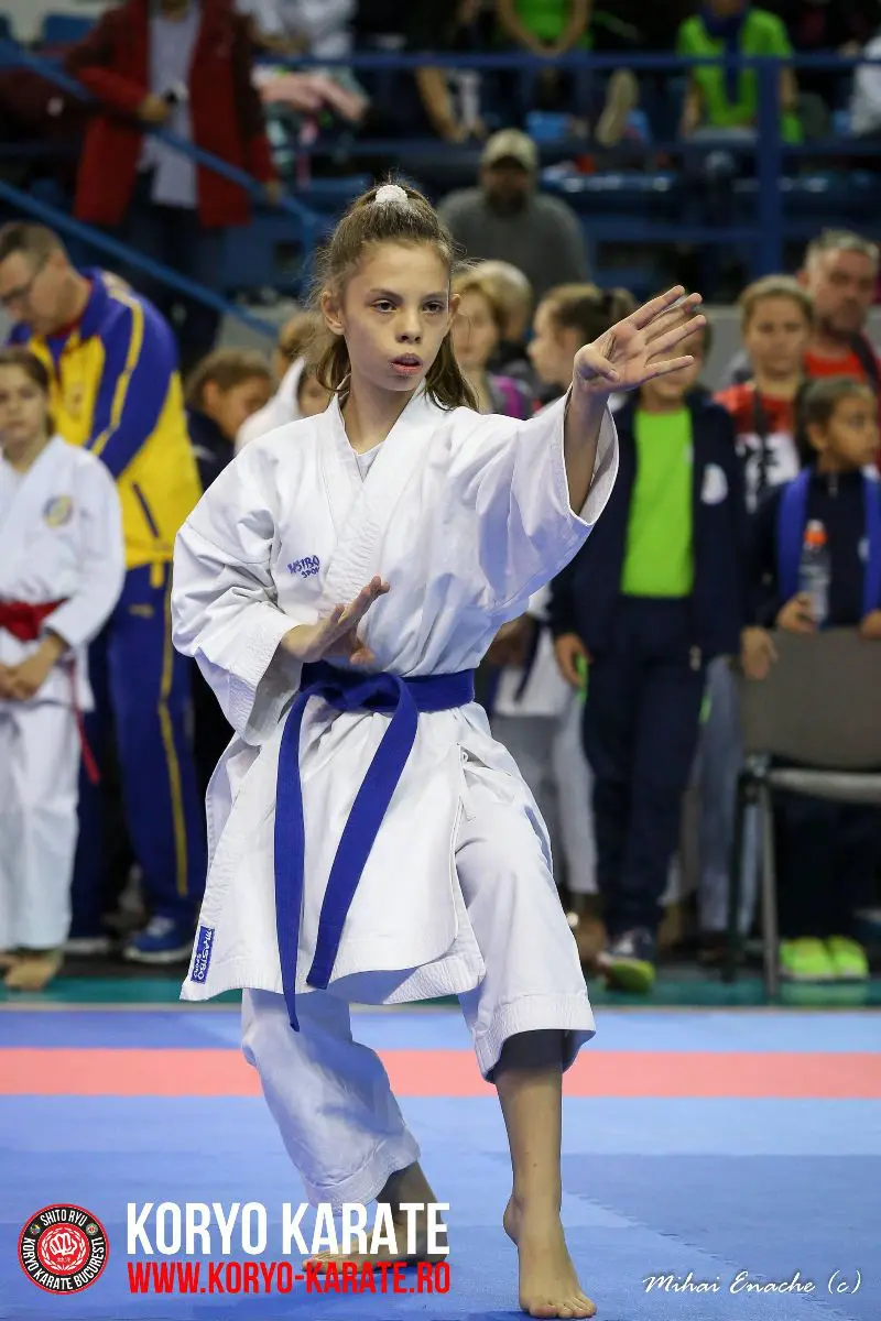 CN Karate Interstiluri 2017
