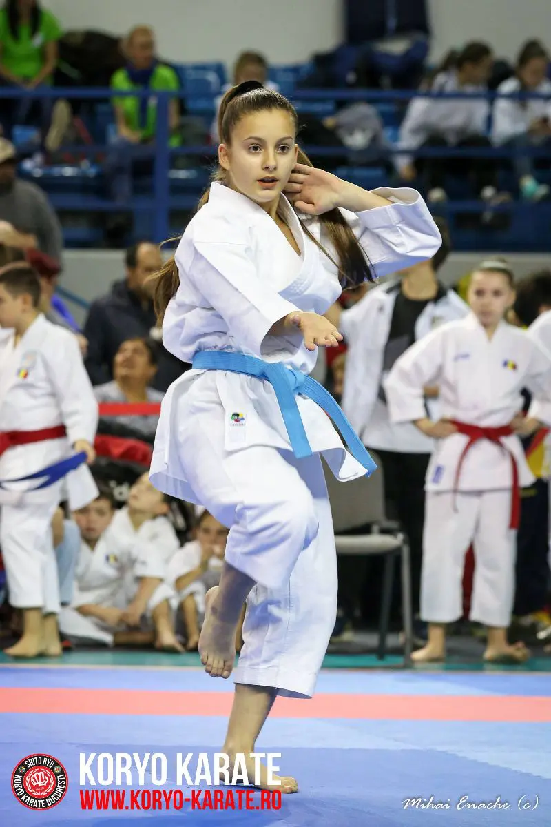CN Karate Interstiluri 2017