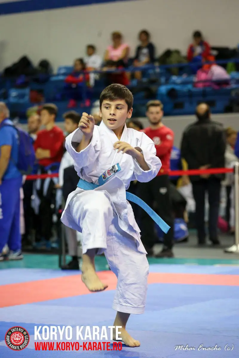CN Karate Interstiluri 2017