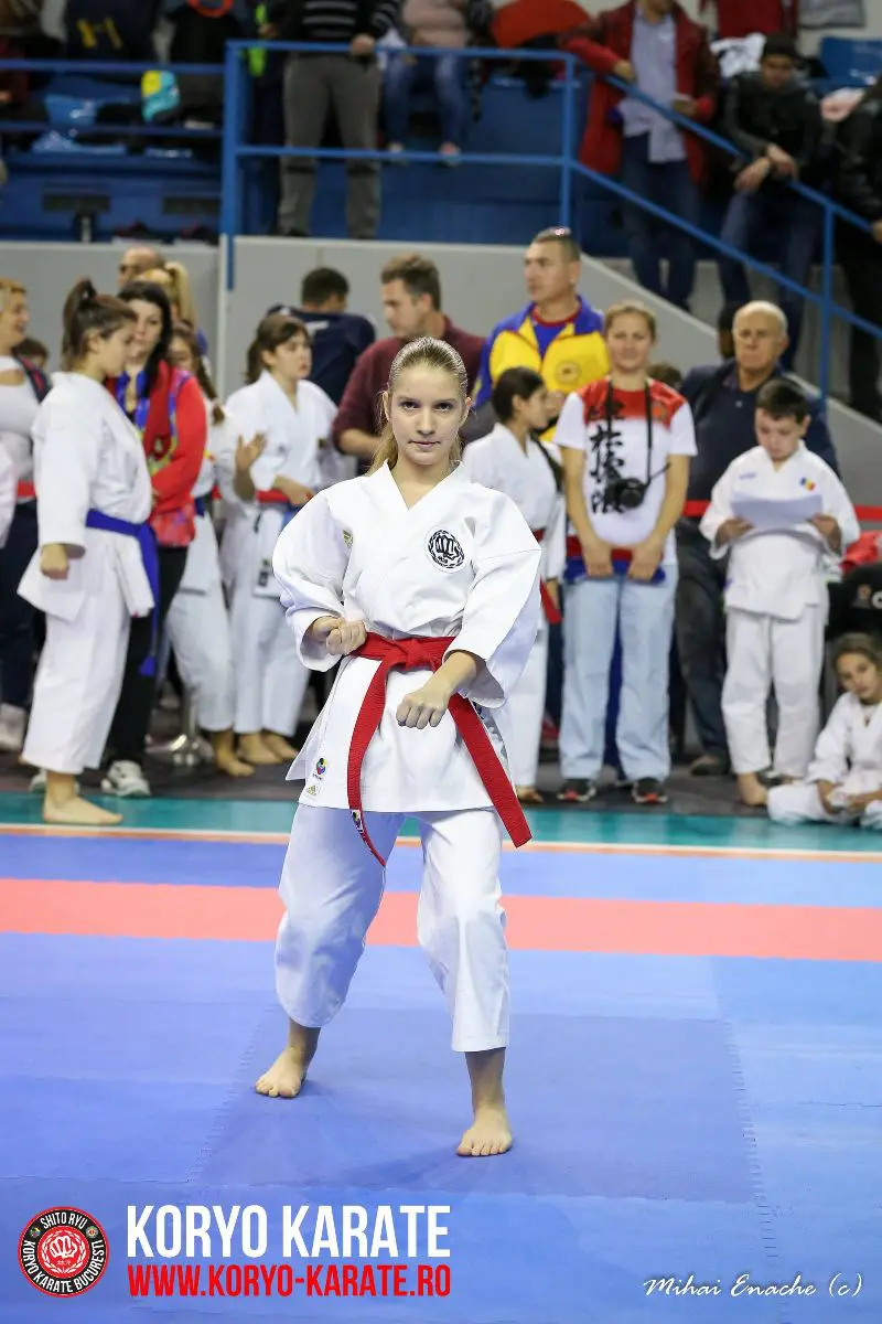 CN Karate Interstiluri 2017