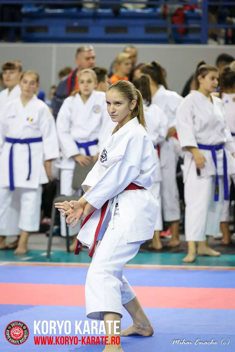 CN Karate Interstiluri 2017