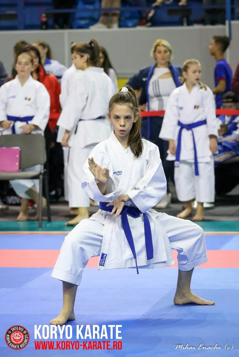 CN Karate Interstiluri 2017