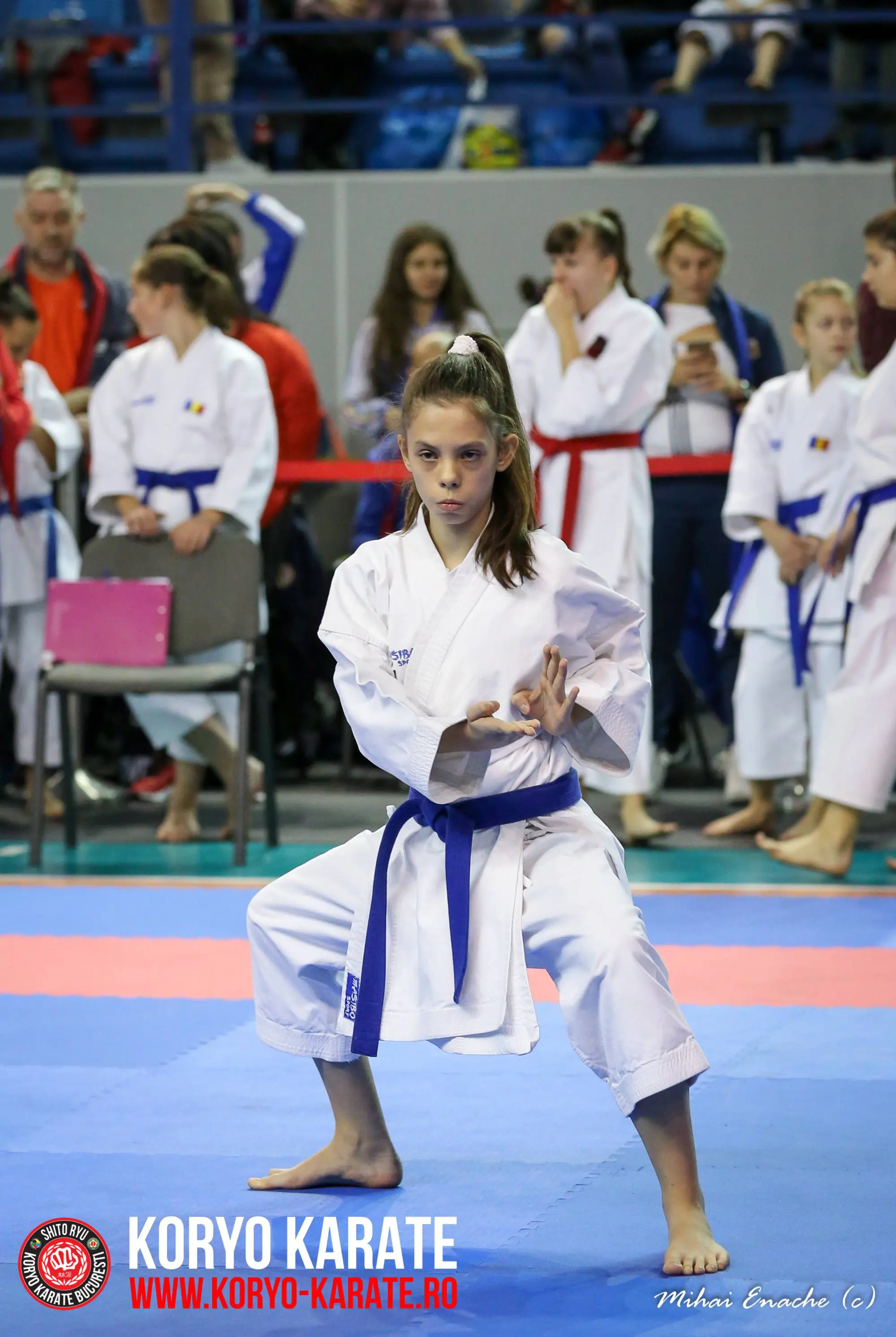 CN Karate Interstiluri 2017