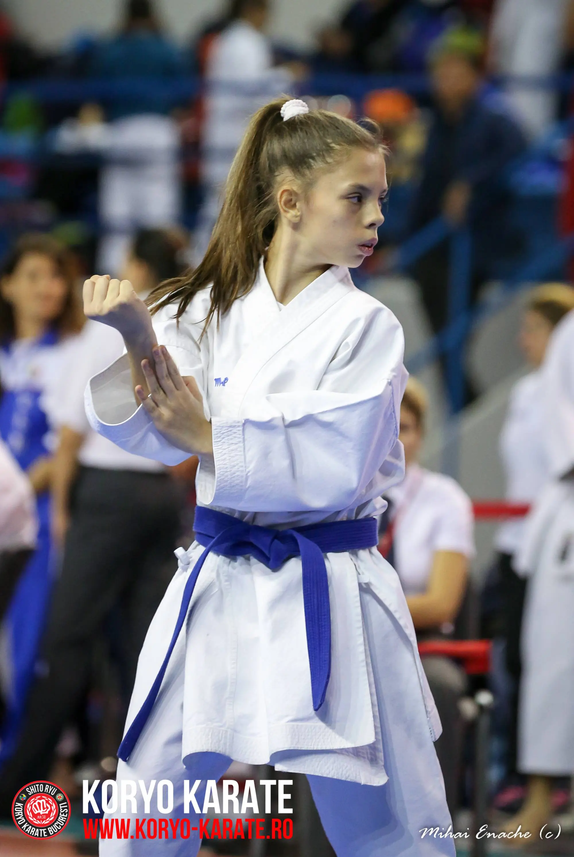 CN Karate Interstiluri 2017
