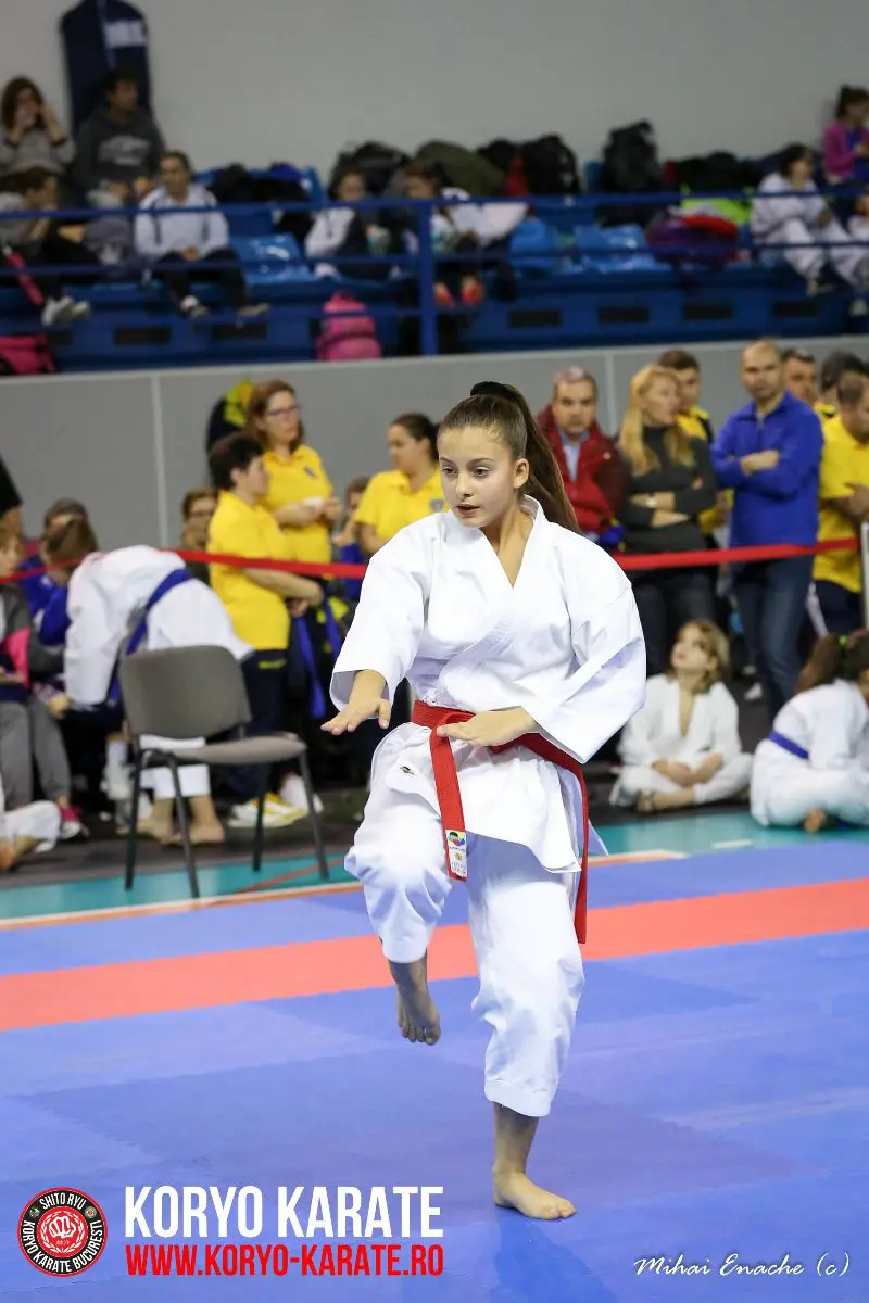 CN Karate Interstiluri 2017