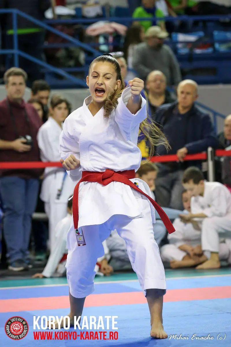 CN Karate Interstiluri 2017