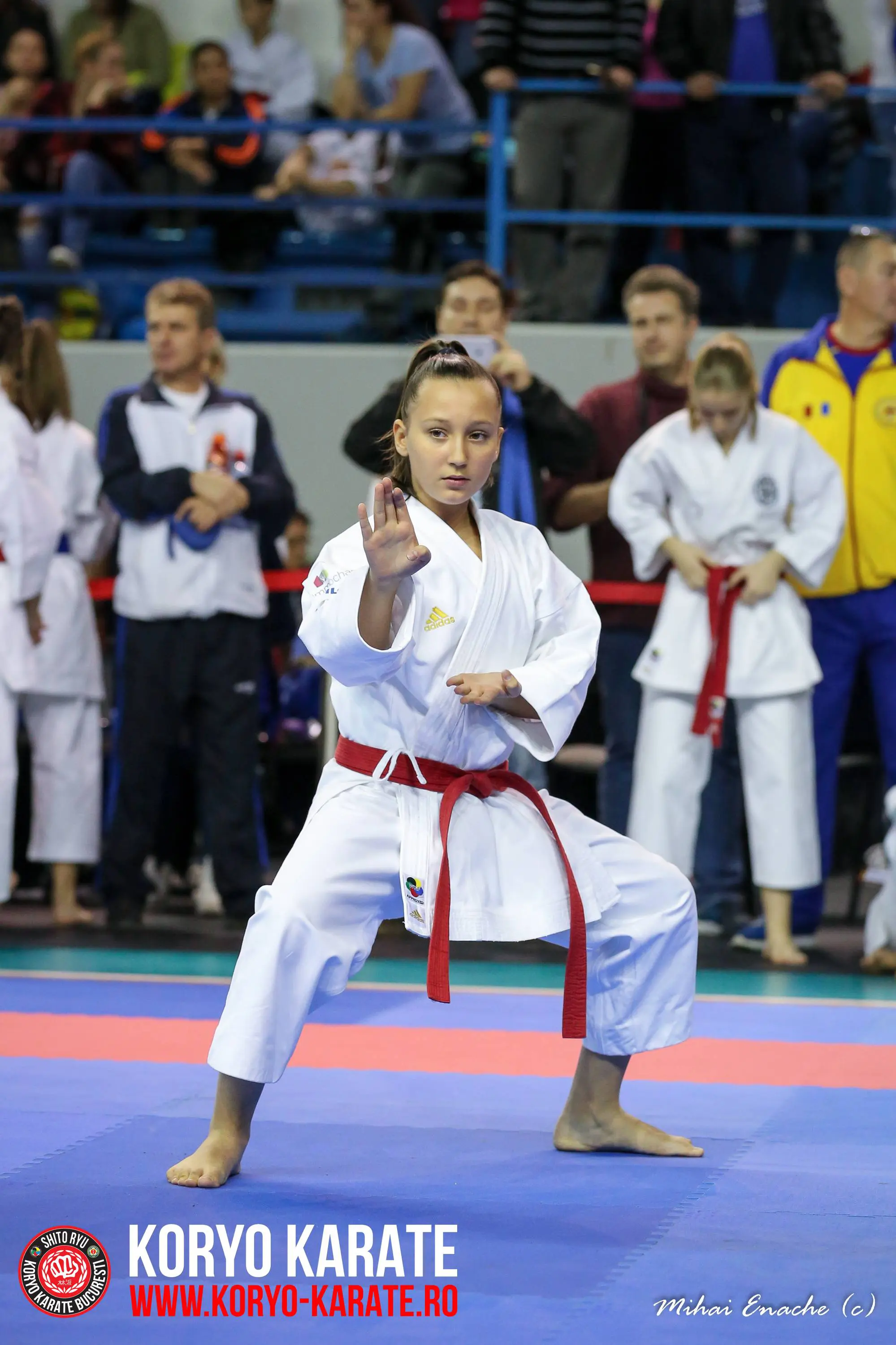 CN Karate Interstiluri 2017