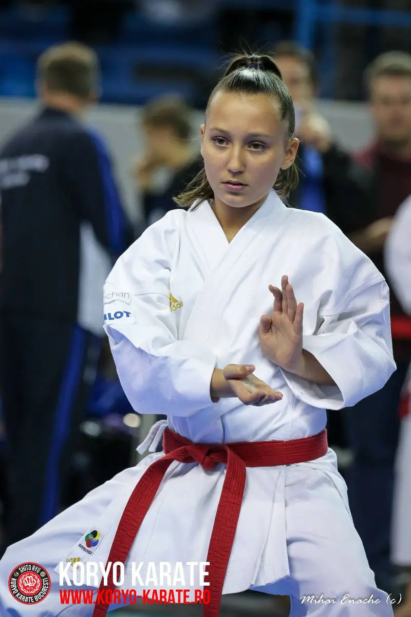 CN Karate Interstiluri 2017