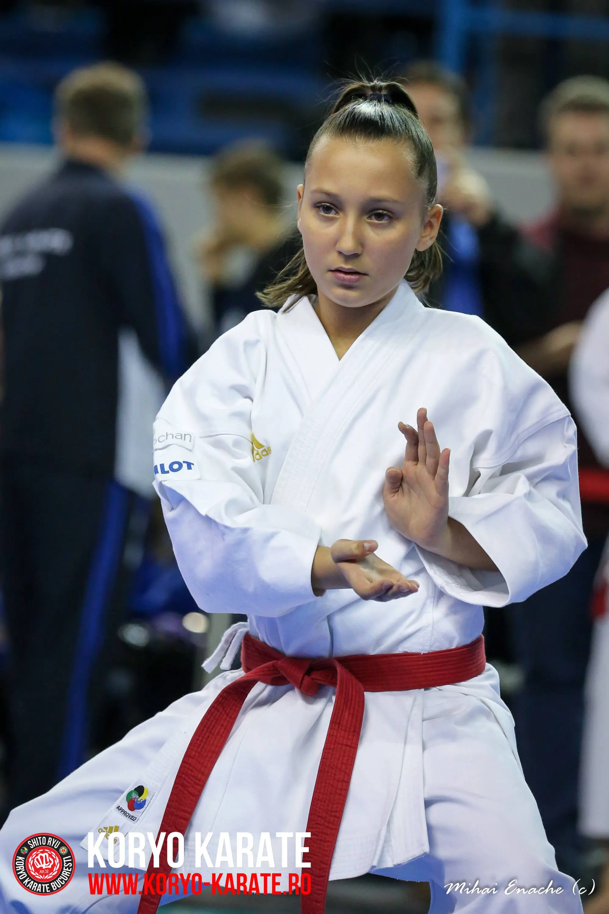 CN Karate Interstiluri 2017