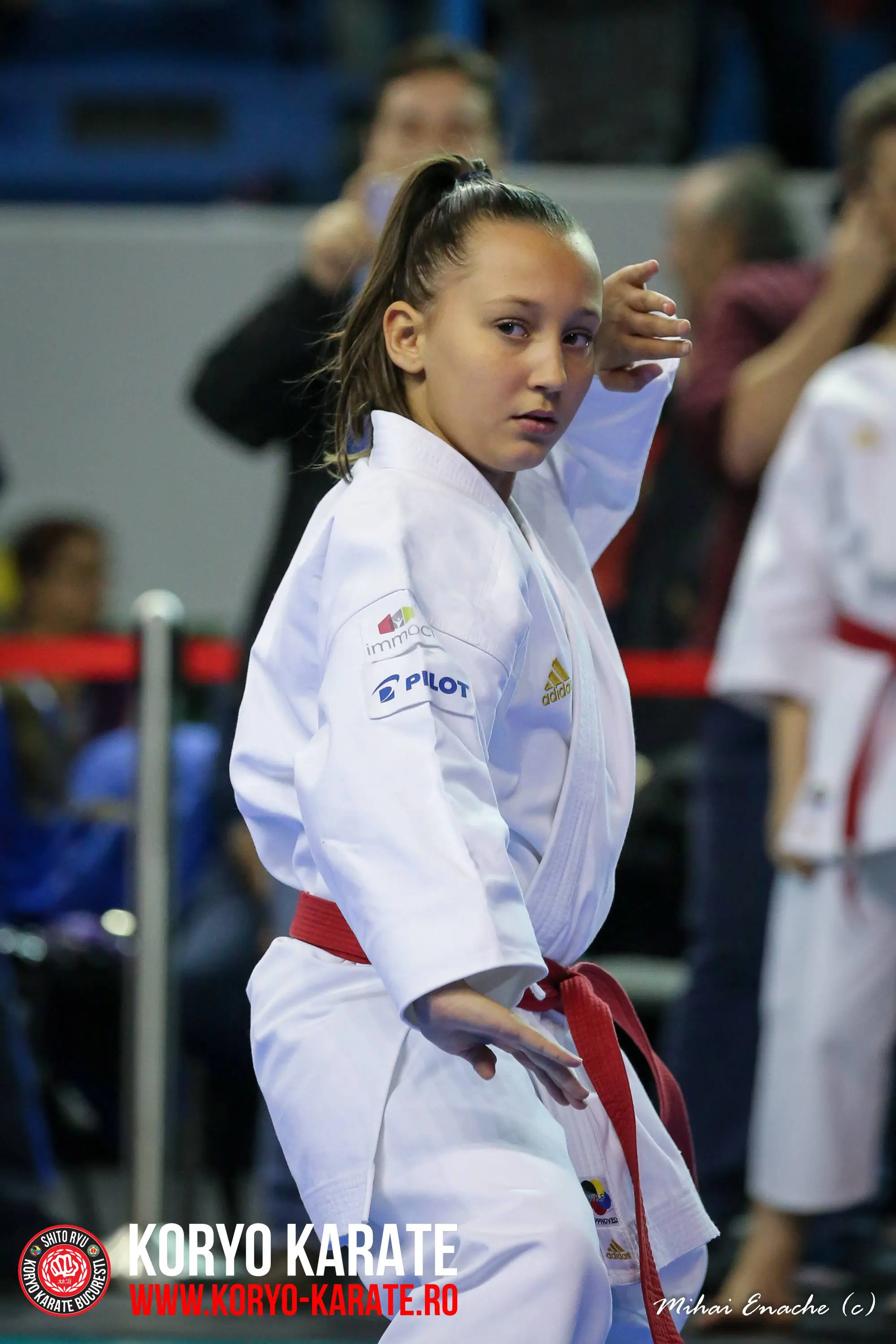 CN Karate Interstiluri 2017