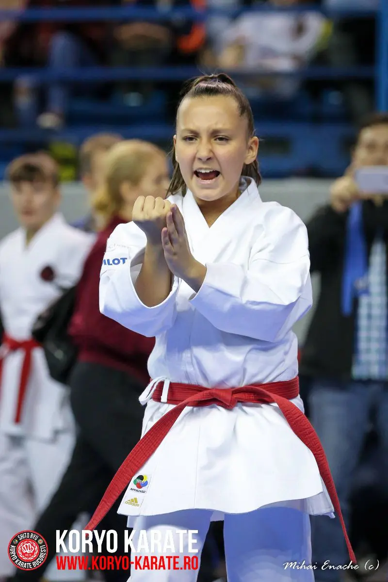 CN Karate Interstiluri 2017