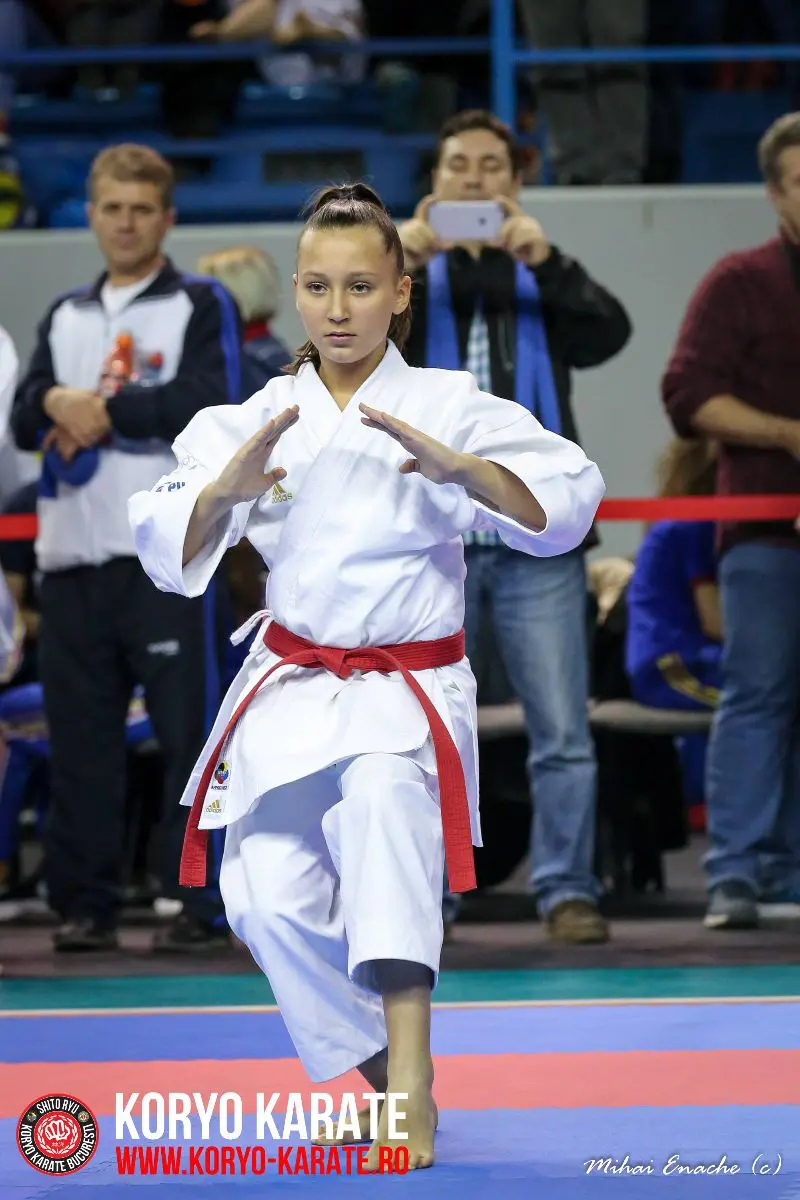 CN Karate Interstiluri 2017