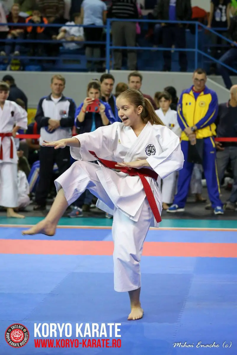 CN Karate Interstiluri 2017