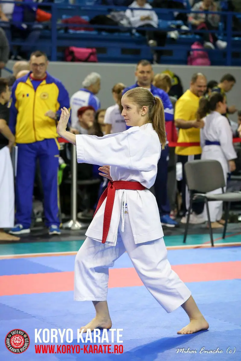CN Karate Interstiluri 2017