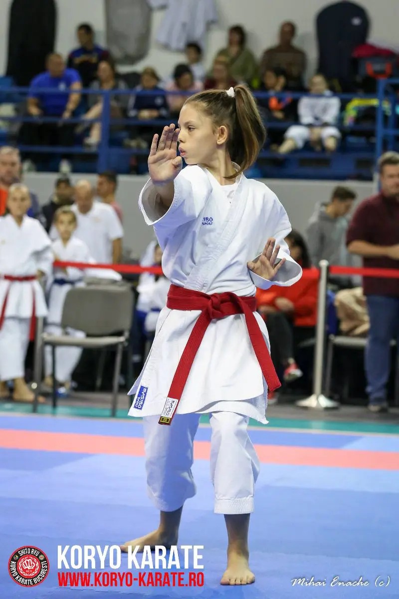 CN Karate Interstiluri 2017