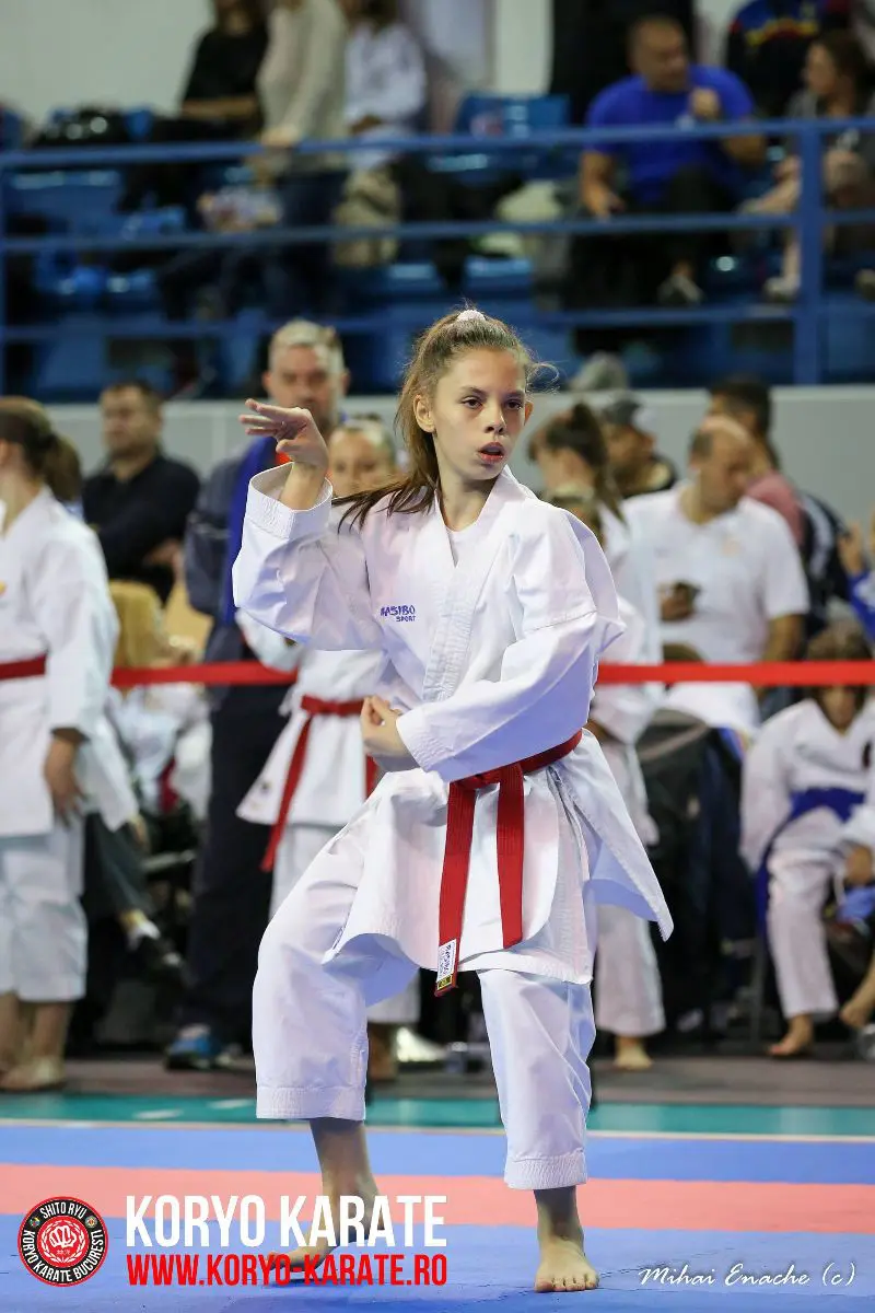 CN Karate Interstiluri 2017