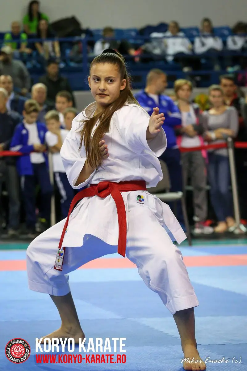 CN Karate Interstiluri 2017