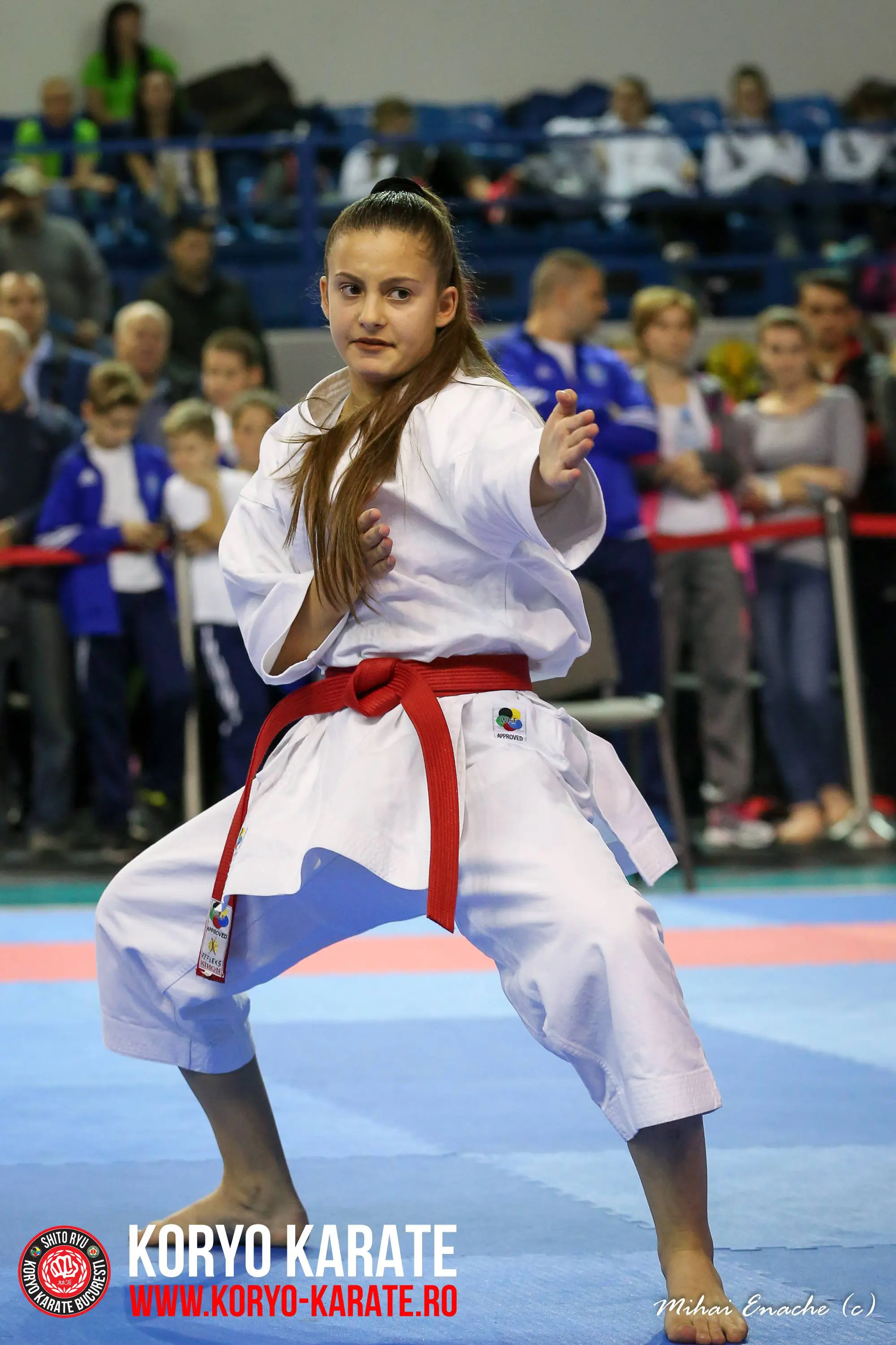CN Karate Interstiluri 2017
