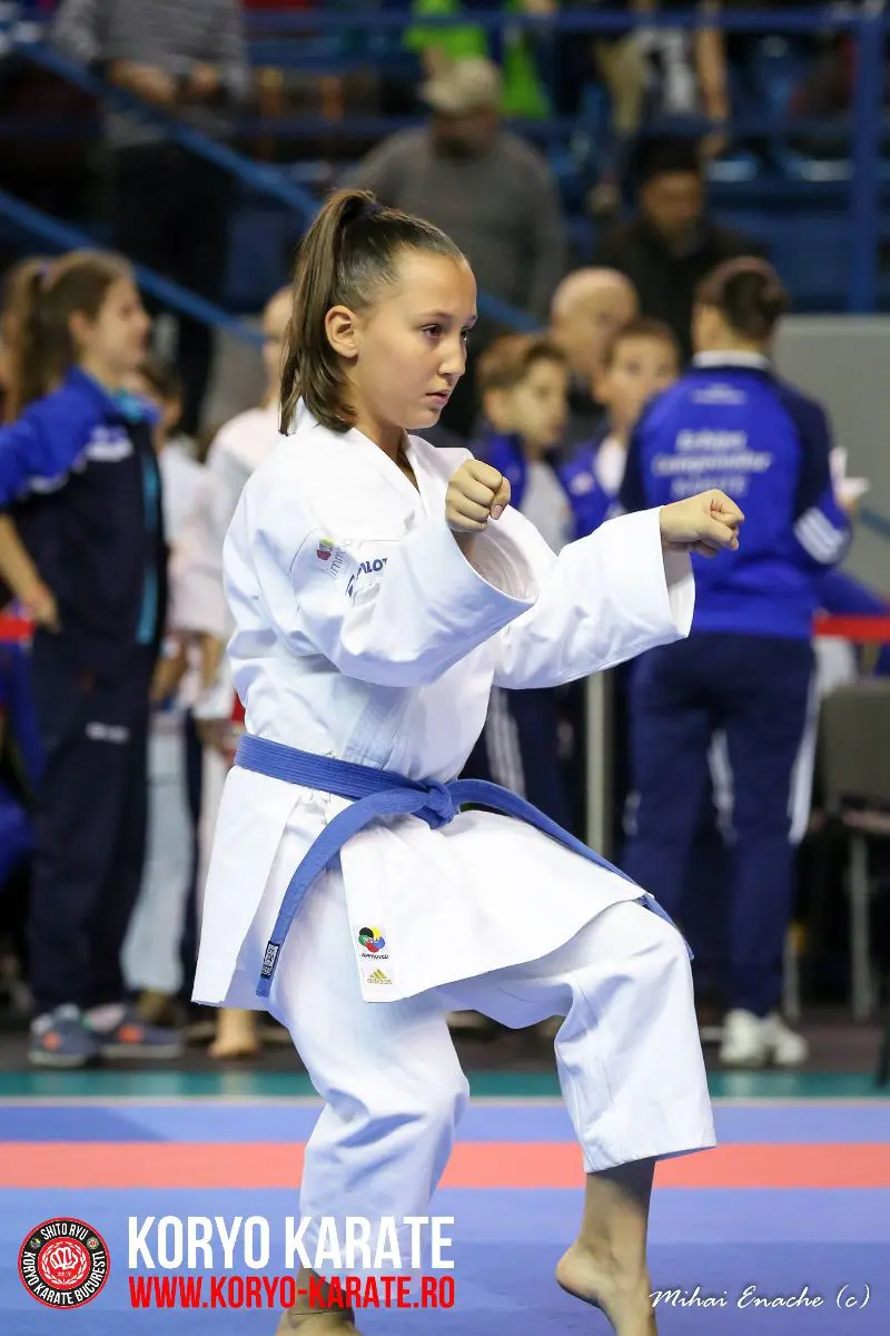 CN Karate Interstiluri 2017