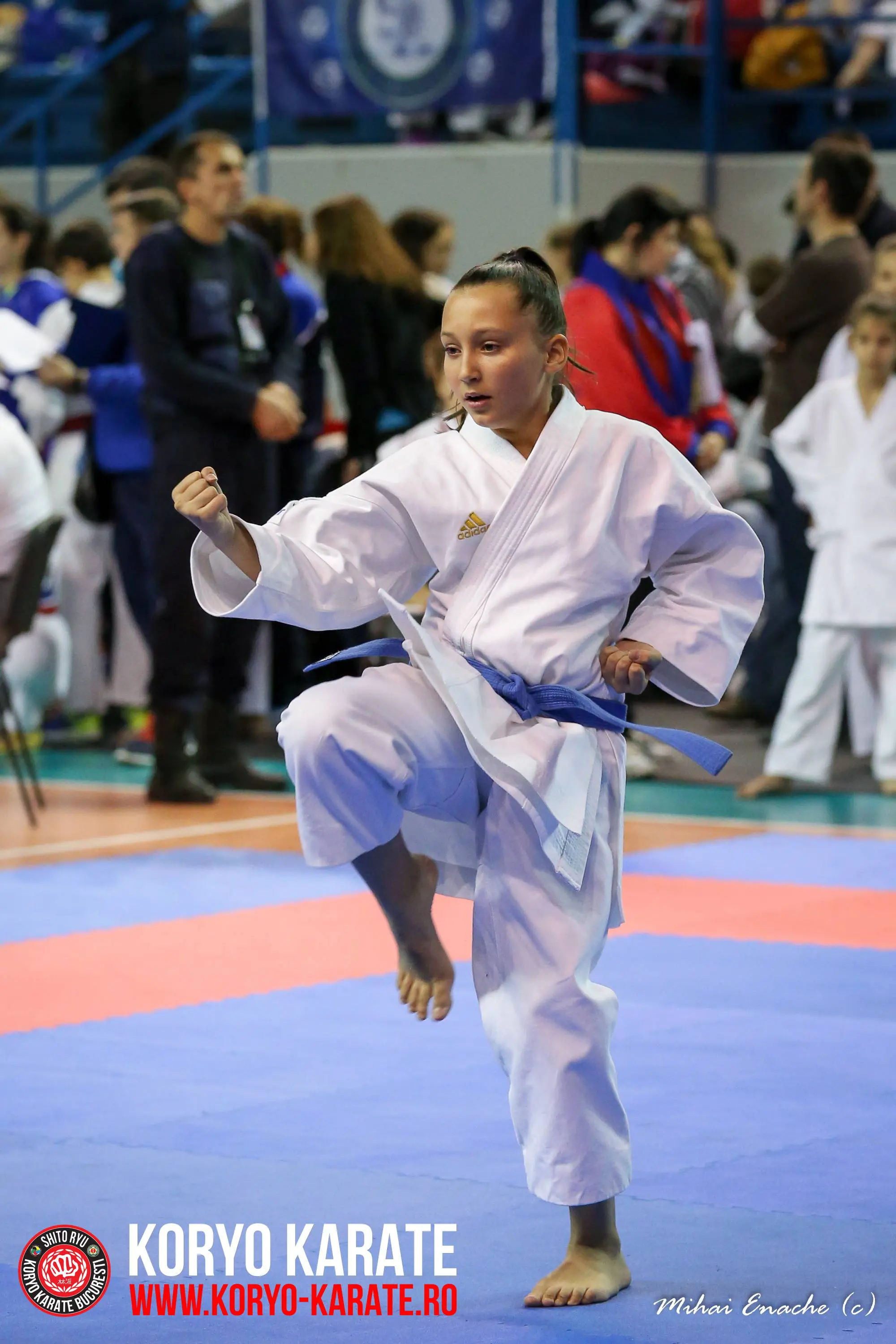 CN Karate Interstiluri 2017