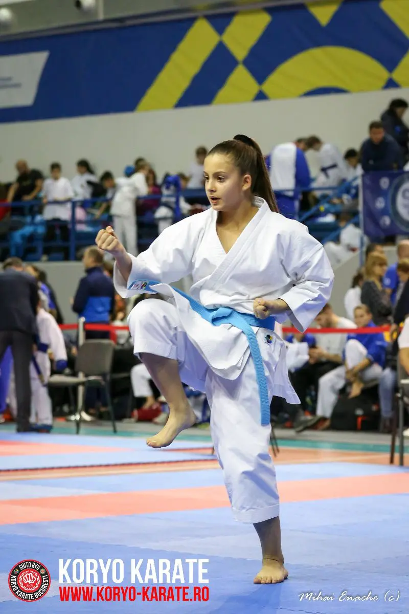 CN Karate Interstiluri 2017
