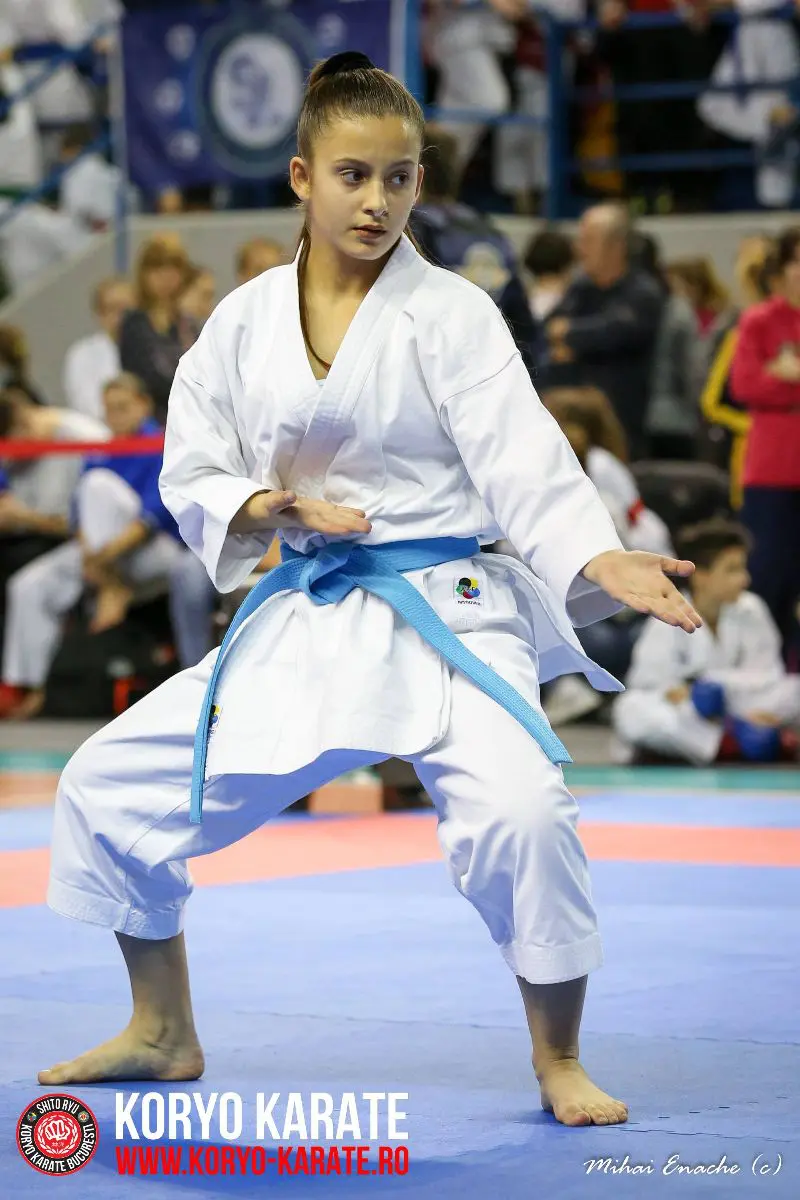 CN Karate Interstiluri 2017