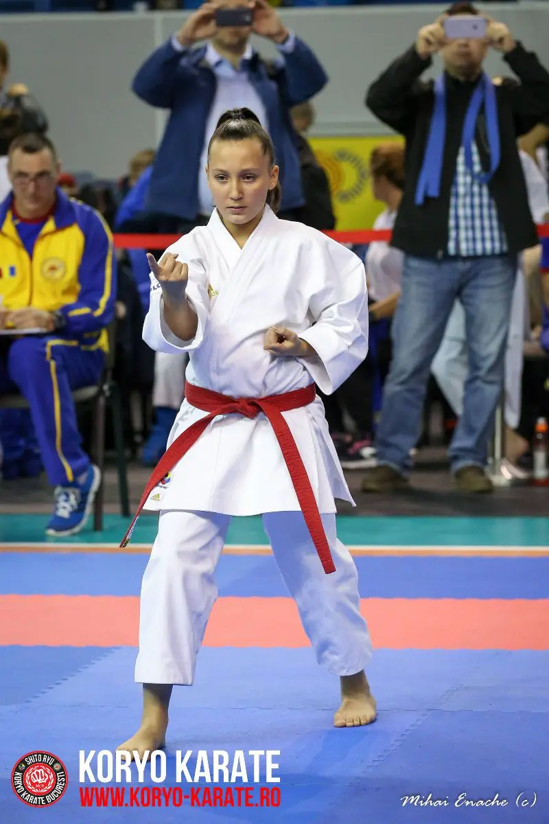 CN Karate Interstiluri 2017
